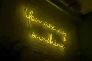 you are my sunshine sign