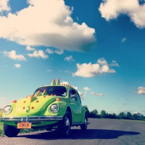 beetle hippie car