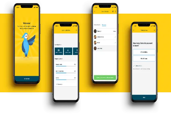 Scaling Your Digital Products the Smart Way: Why Companies Choose End-to-End JavaScript and Flutter Services